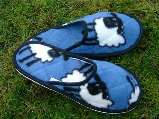 The Essanti range of washable slippers with fun printed themes